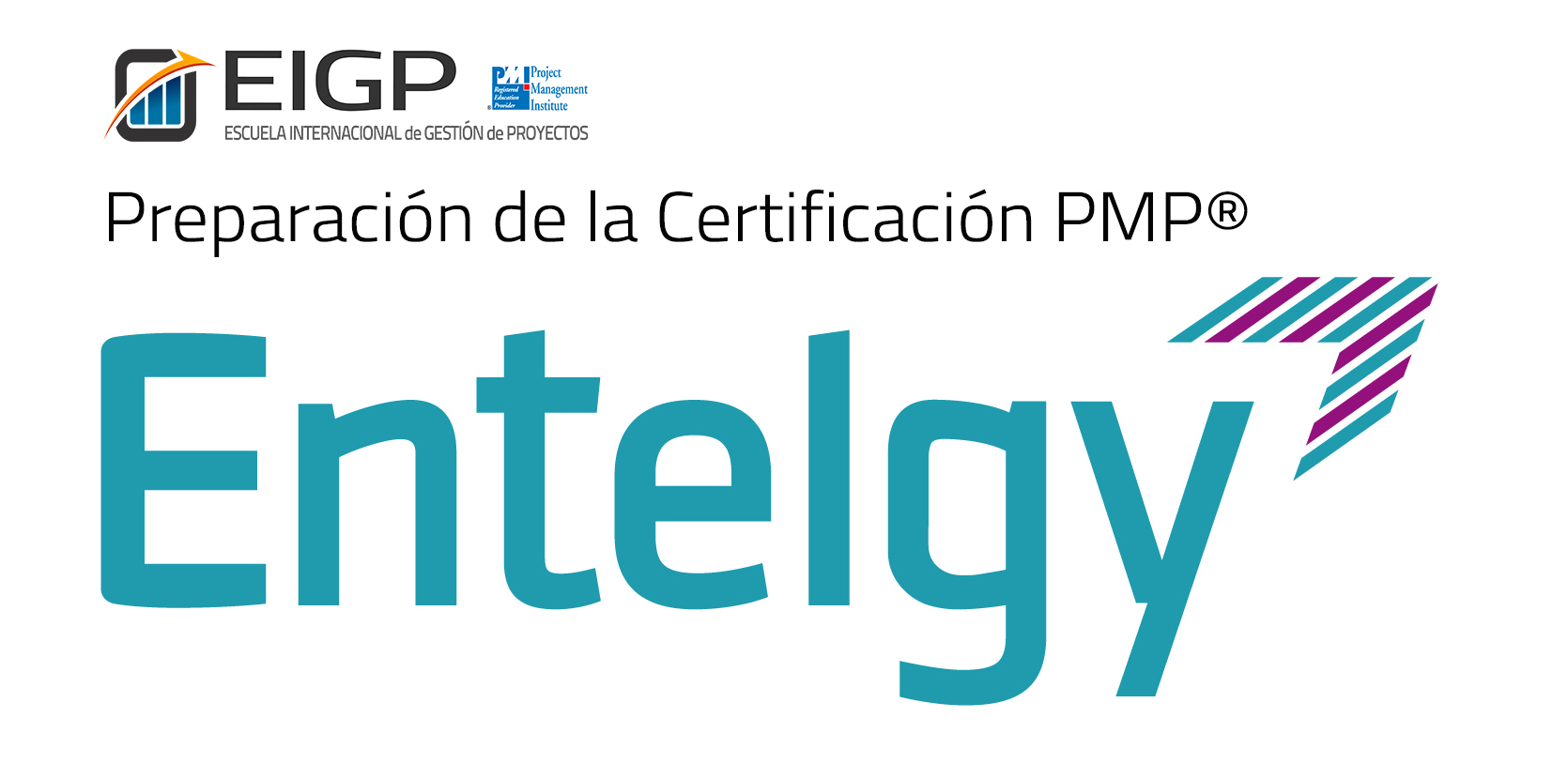 Curso de Preparación de la Certificación PMP / Empleados ENTELGY