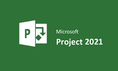 Curso Avanzado en Microsoft Project 2019-2021 ¡A Tu Ritmo!® Parte I