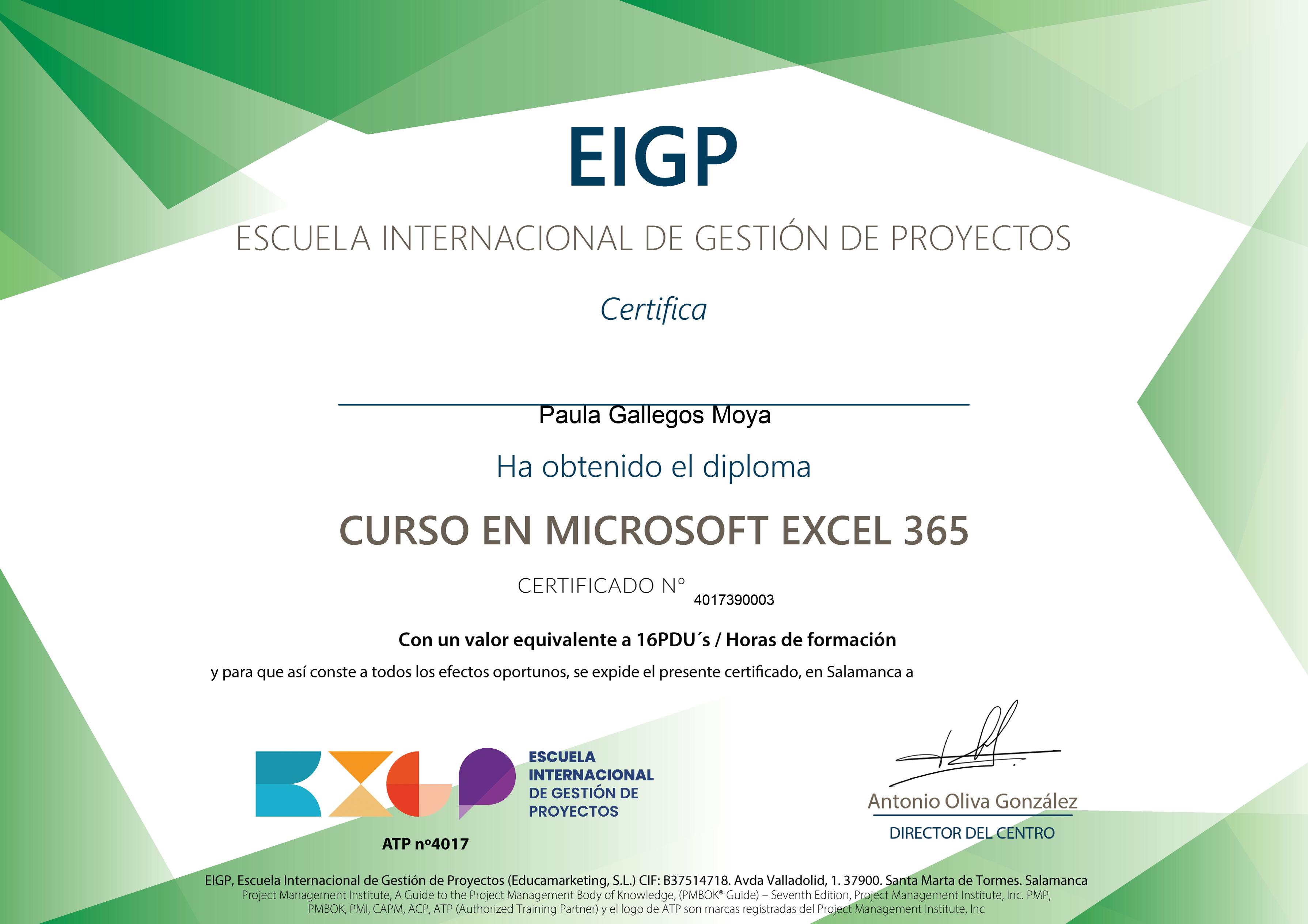 Curso en Microsoft Excel 365